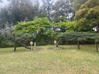 海龍王寺の{uncategorized: "未分類", other: "その他", undefined: "問題あり", building: "その他建物", grave: "お墓", sacred_gate: "鳥居", guardian: "狛犬", statue: "像", buddha: "仏像", history: "歴史", nature: "自然", garden: "庭園", animal: "動物", pagoda: "塔", temizu: "手水舎", mountain_gate: "山門・神門", sanctuary: "本殿・本堂", subordinate: "末社・摂社", art: "芸術", scenery: "景色", jizo: "地蔵", ema: "絵馬", goshuin: "御朱印", omikuji: "おみくじ", items: "授与品その他", amulet: "お守り", goshuincho: "御朱印帳", eats: "食事", festival: "お祭り", votive_dance: "神楽", shichigosan: "七五三参", wedding: "結婚式", experience: "体験その他", initially: "初詣", around: "周辺", anti_infection: "感染症対策"}
