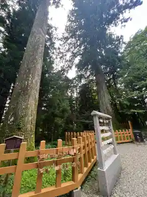 須山浅間神社のその他建物