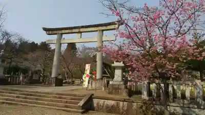 茨城縣護國神社(茨城県)