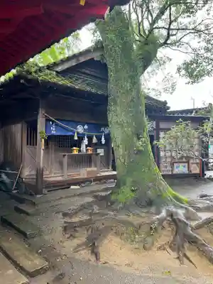 青井阿蘇神社(熊本県)