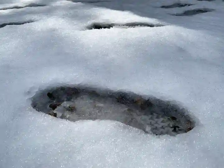 滑川神社 - 仕事と子どもの守り神(福島県)