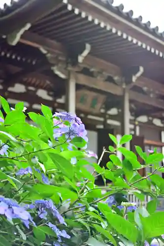 高幡不動尊　金剛寺の自然