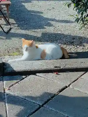 今市報徳二宮神社(栃木県)