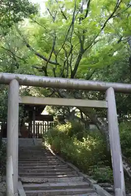 今宮神社(京都府)