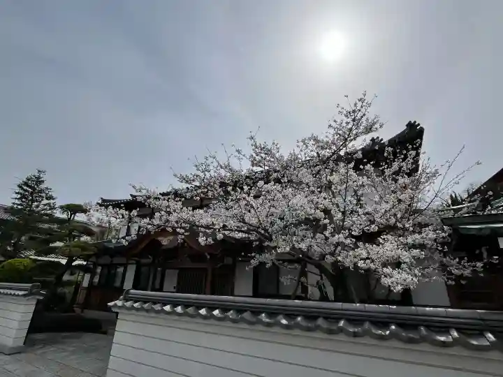 福祥寺(須磨寺)の自然