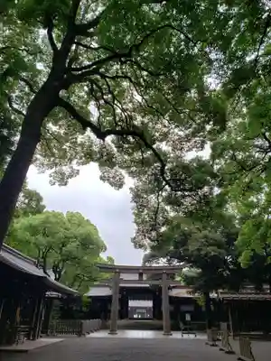 明治神宮の鳥居