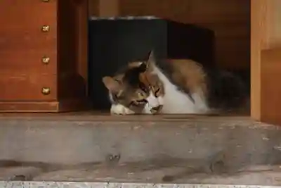 玉野御嶽神社(愛知県)