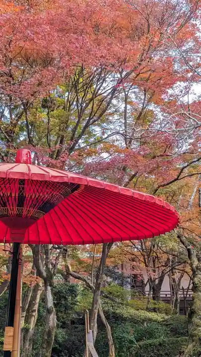 常照寺(京都府)