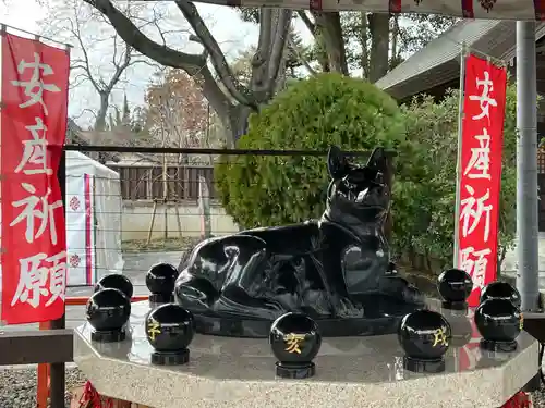 玉村八幡宮(群馬県)