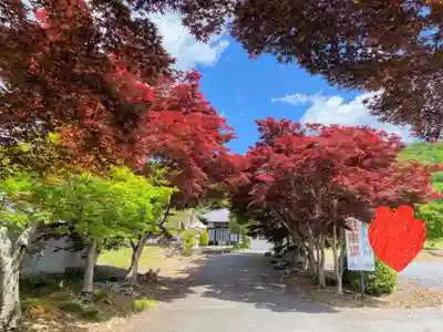 明鏡山龍雲寺の自然