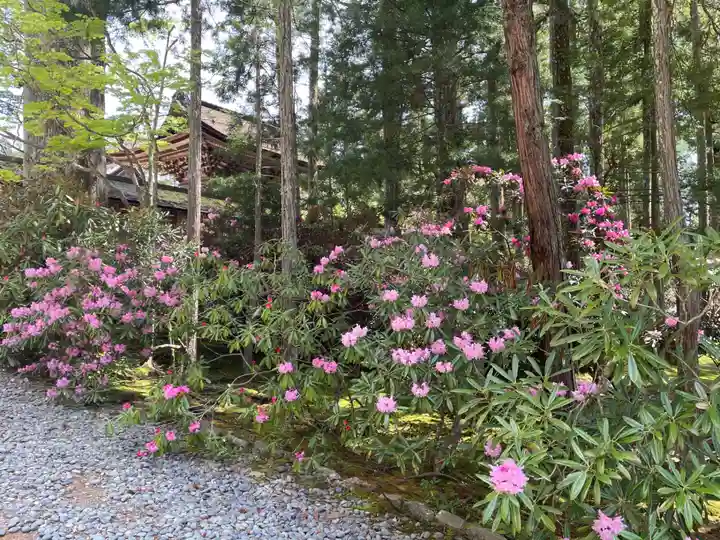 高野山金剛峯寺(和歌山県)