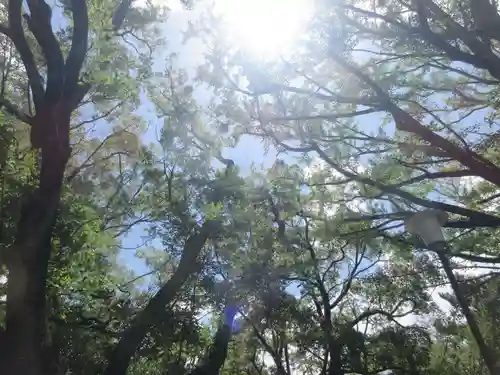 意富比神社(千葉県)