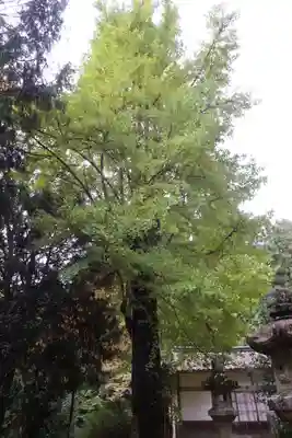 大洗磯前神社(岐阜県)