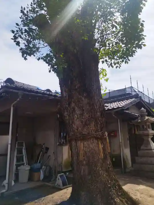 高瀬神社(大阪府)