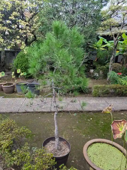 本妙院(東京都)