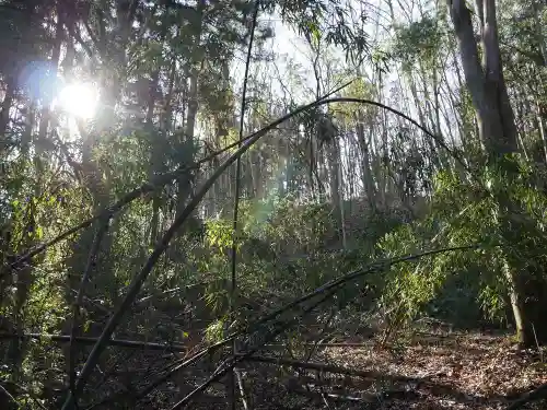 永福寺　童子堂の自然