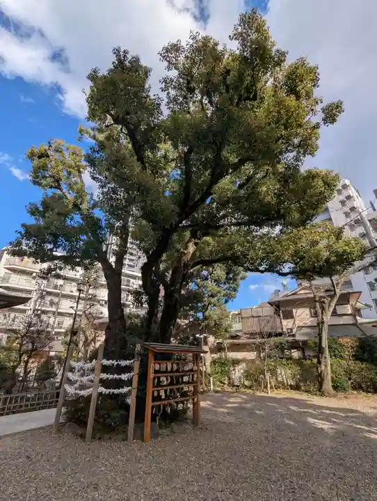 蒲田八幡神社(東京都)