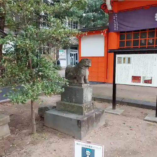 葛飾八幡宮の狛犬