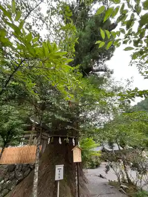 丹生川上神社（中社）(奈良県)