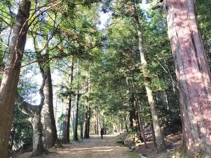 質美八幡宮(京都府)