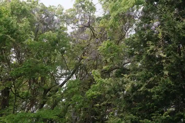 藤稲荷神社の自然
