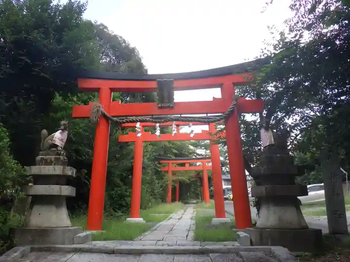 竹中稲荷神社(吉田神社末社)の鳥居