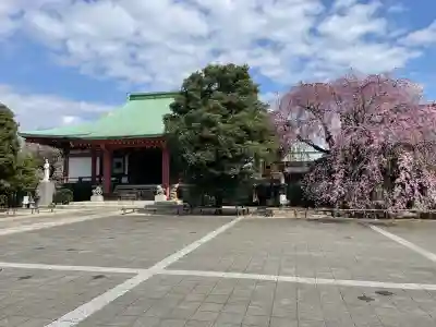 吉祥寺の{uncategorized: "未分類", other: "その他", undefined: "問題あり", building: "その他建物", grave: "お墓", sacred_gate: "鳥居", guardian: "狛犬", statue: "像", buddha: "仏像", history: "歴史", nature: "自然", garden: "庭園", animal: "動物", pagoda: "塔", temizu: "手水舎", mountain_gate: "山門・神門", sanctuary: "本殿・本堂", subordinate: "末社・摂社", art: "芸術", scenery: "景色", jizo: "地蔵", ema: "絵馬", goshuin: "御朱印", omikuji: "おみくじ", items: "授与品その他", amulet: "お守り", goshuincho: "御朱印帳", eats: "食事", festival: "お祭り", votive_dance: "神楽", shichigosan: "七五三参", wedding: "結婚式", experience: "体験その他", initially: "初詣", around: "周辺", anti_infection: "感染症対策"}