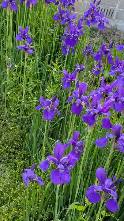 桜山天満宮(京都府)