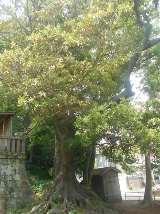 諏訪神社の庭園