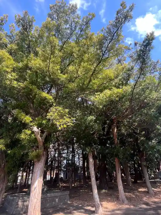 鶴谷八幡宮(千葉県)