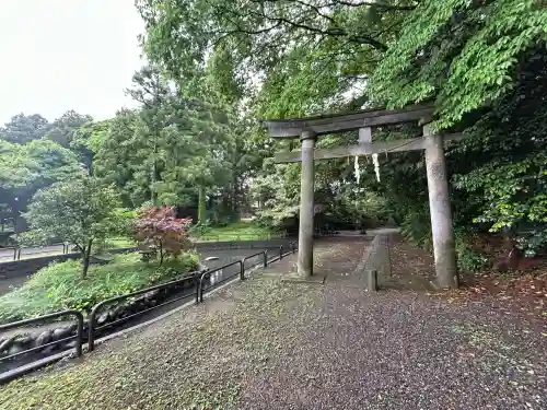 天津神社(新潟県)