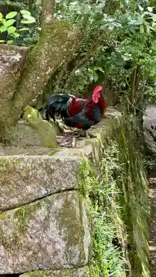 石上神宮(奈良県)