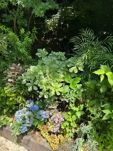 東京大神宮(東京都)