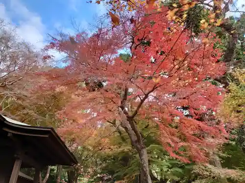 普門寺(切り絵御朱印発祥の寺)(愛知県)