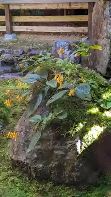 古知谷阿弥陀寺(京都府)