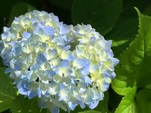 多摩川浅間神社(東京都)