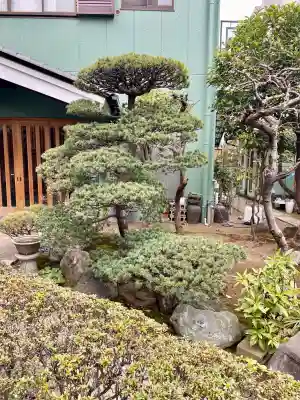 寿永寺(東京都)
