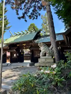 琴似神社(北海道)