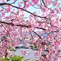 埼玉厄除け開運大師・龍泉寺(切り絵御朱印発祥の寺)の自然