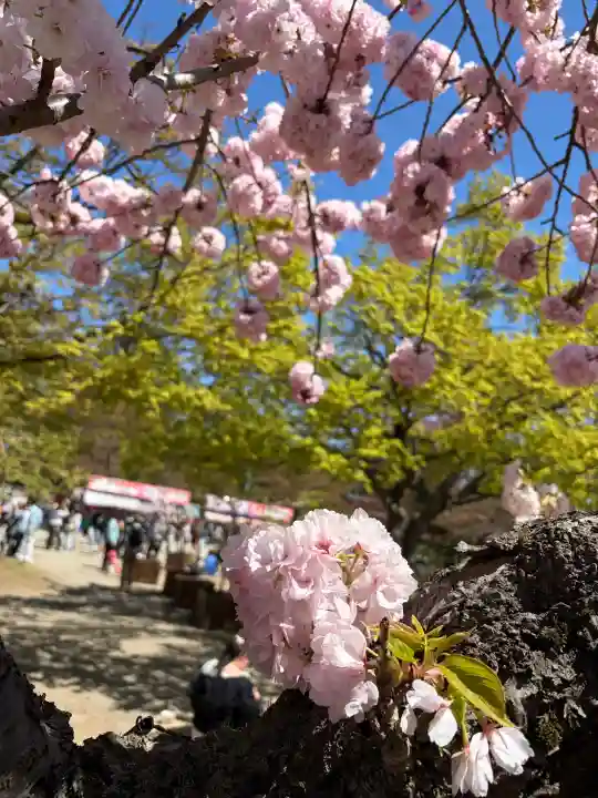青森縣護國神社(青森県)