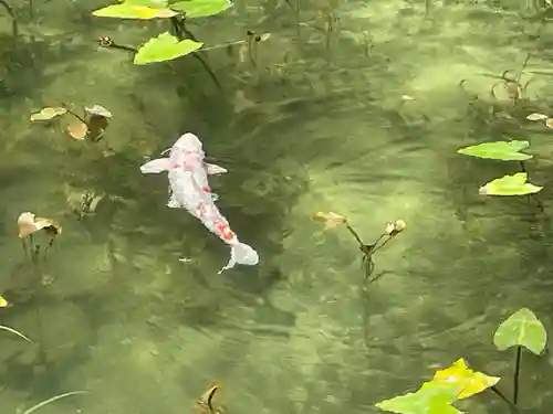 根道神社(岐阜県)