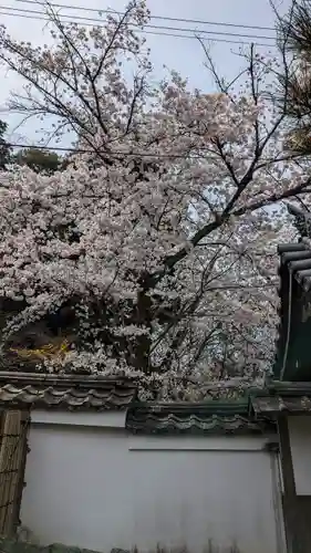 喜運院(京都府)