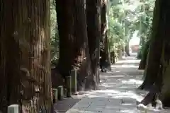 日吉神社の建物その他