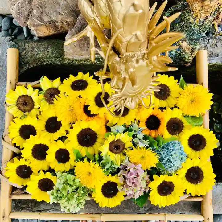 四季桜の寺 妙乗院の手水舎