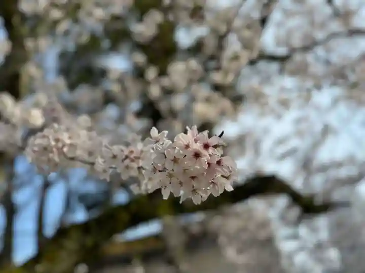 伊勢の国 四天王寺(三重県)