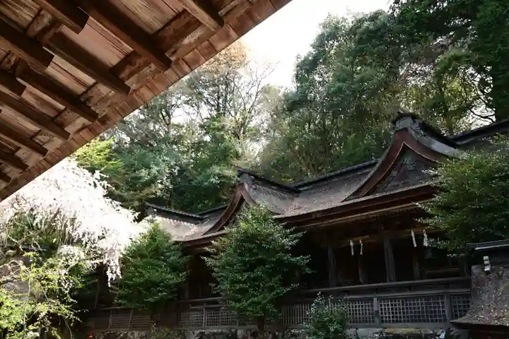 吉野水分神社(吉野町)の本殿・本堂