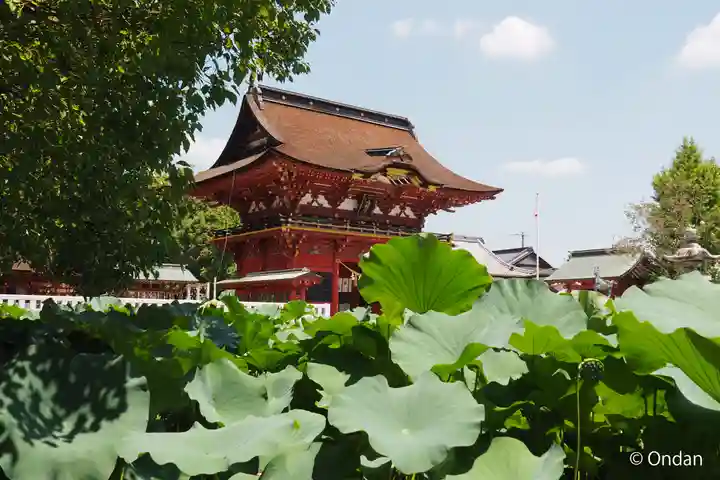 伊賀八幡宮(愛知県)