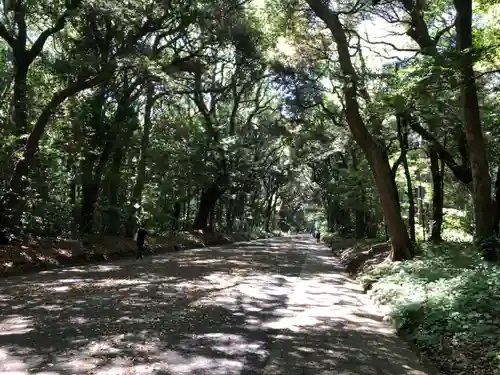 明治神宮(東京都)