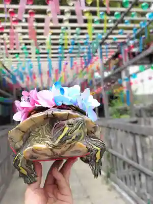 別小江神社のその他建物