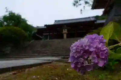 矢田寺のその他建物